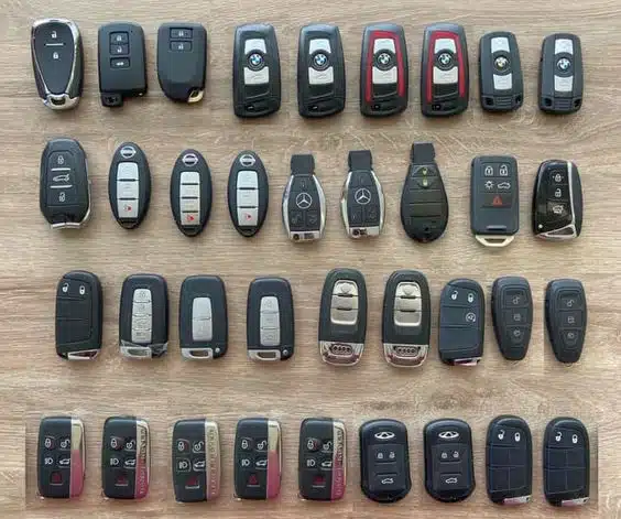 Reproduction clé